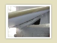harrier_070.jpg