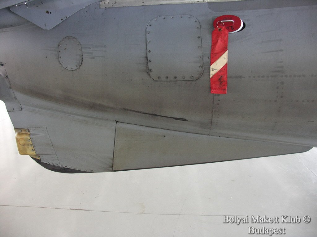 harrier_071.jpg