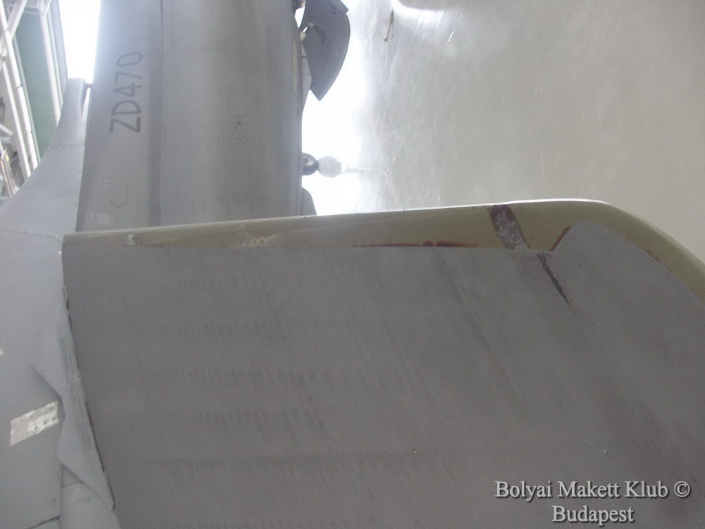harrier_072.jpg