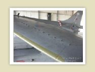harrier_073.jpg