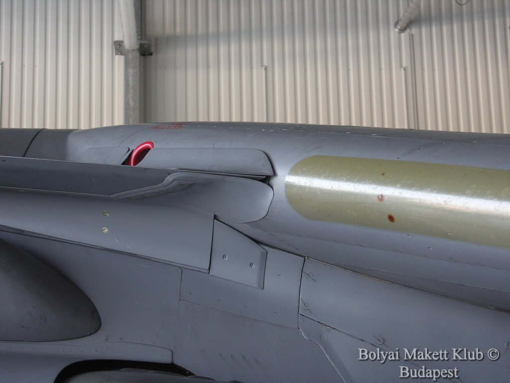 harrier_074.jpg