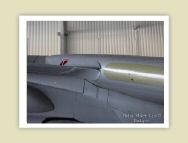 harrier_074.jpg