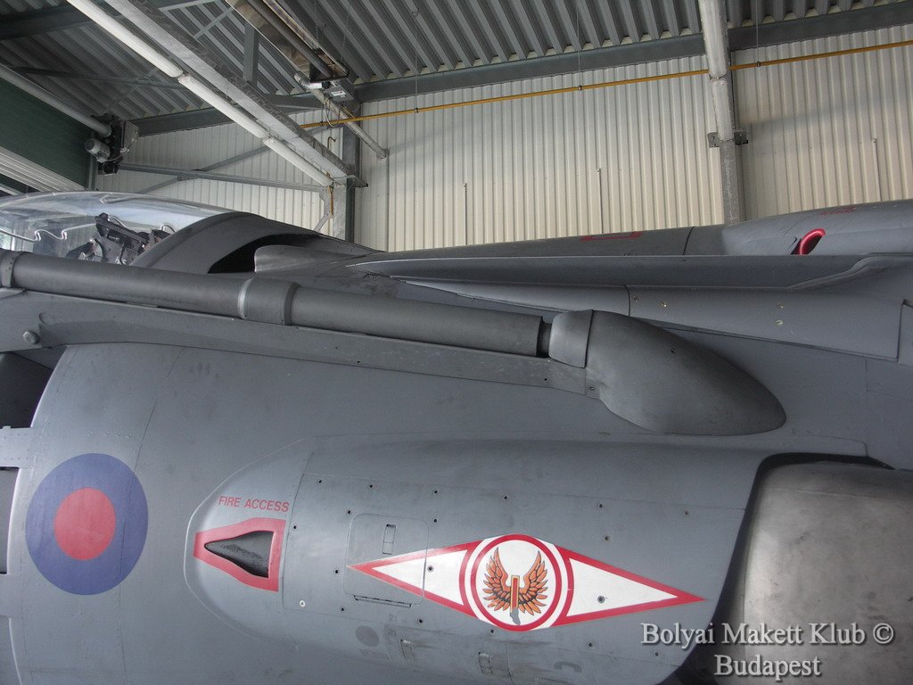 harrier_075.jpg