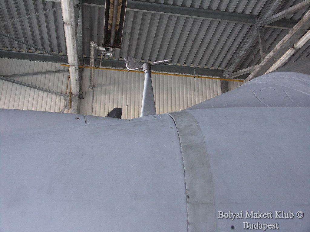harrier_076.jpg