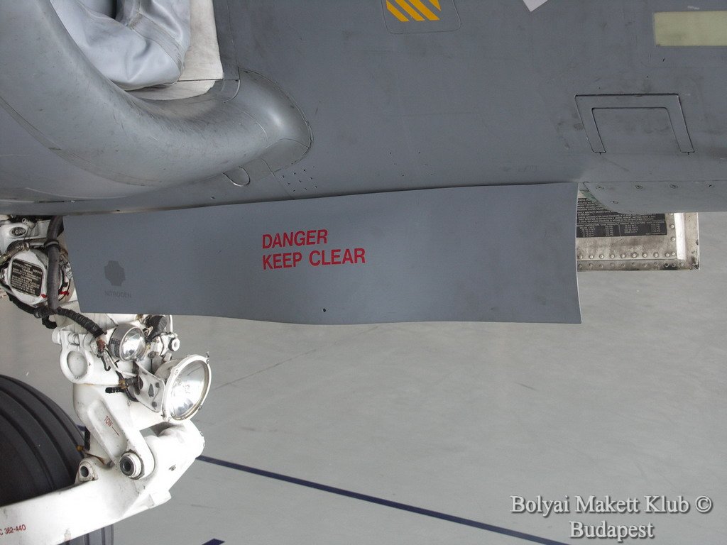 harrier_077.jpg