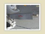 harrier_077.jpg