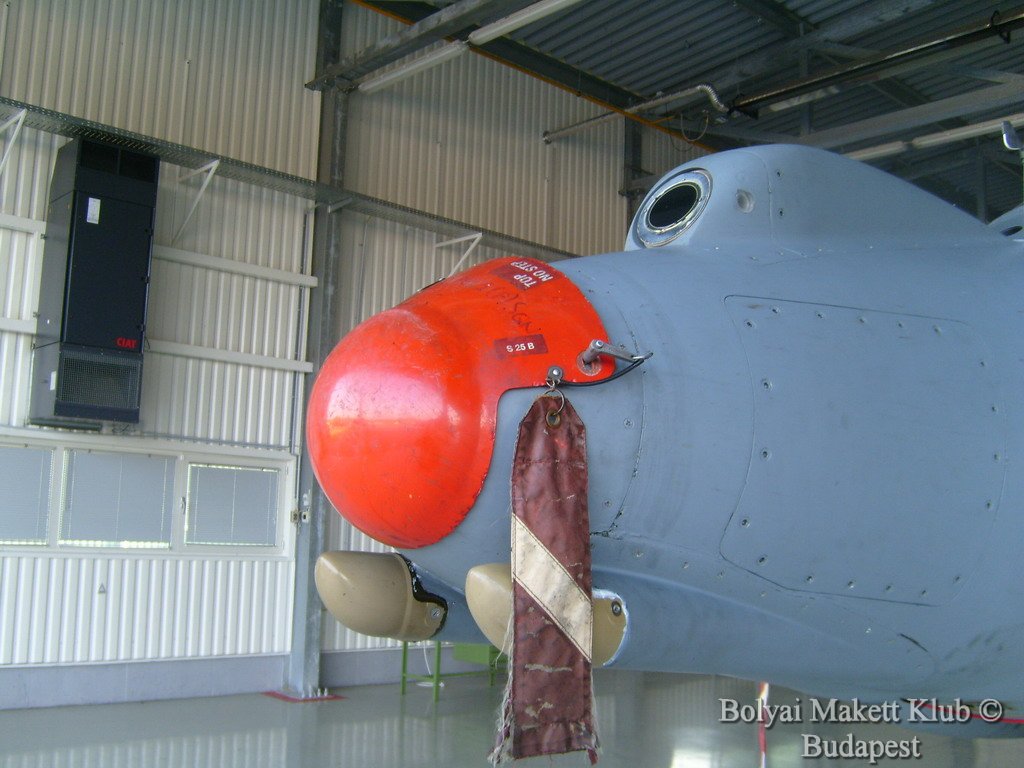 harrier_080.jpg