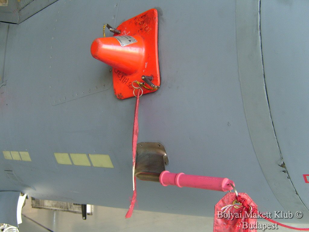 harrier_081.jpg