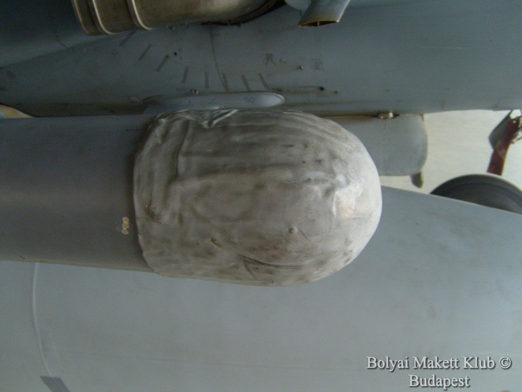 harrier_082.jpg