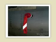 harrier_088.jpg