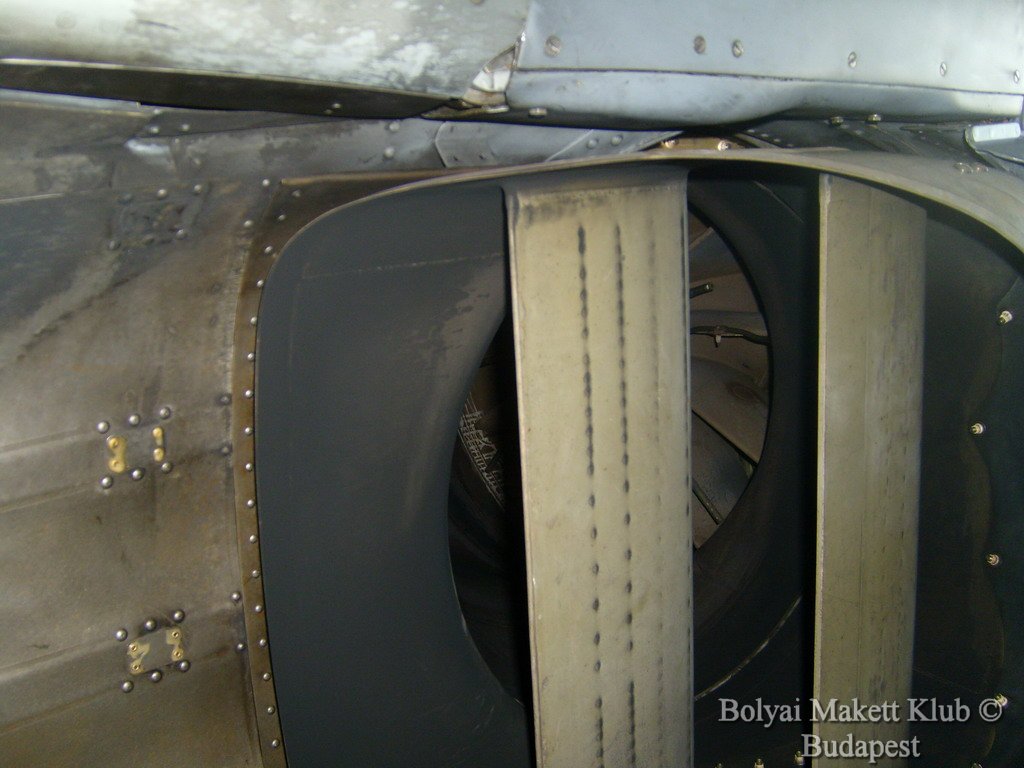harrier_089.jpg