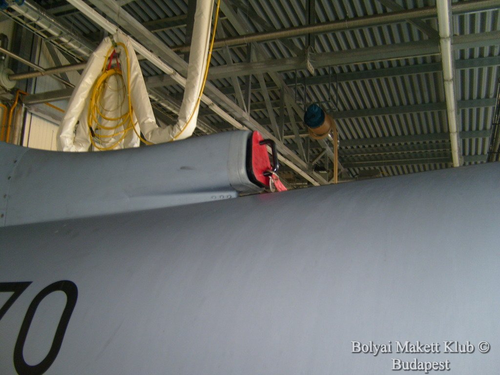 harrier_091.jpg