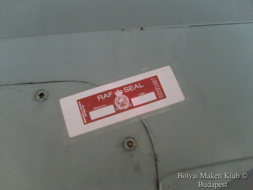 harrier_092.jpg