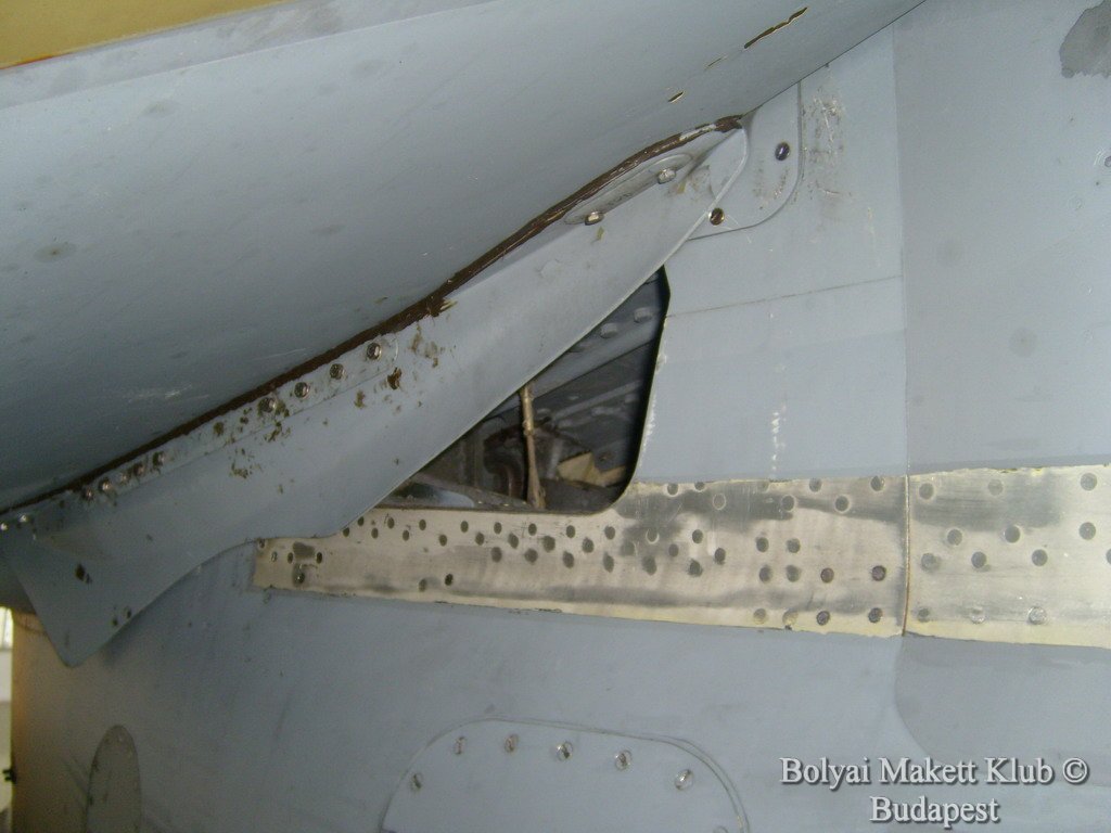 harrier_093.jpg