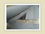 harrier_093.jpg