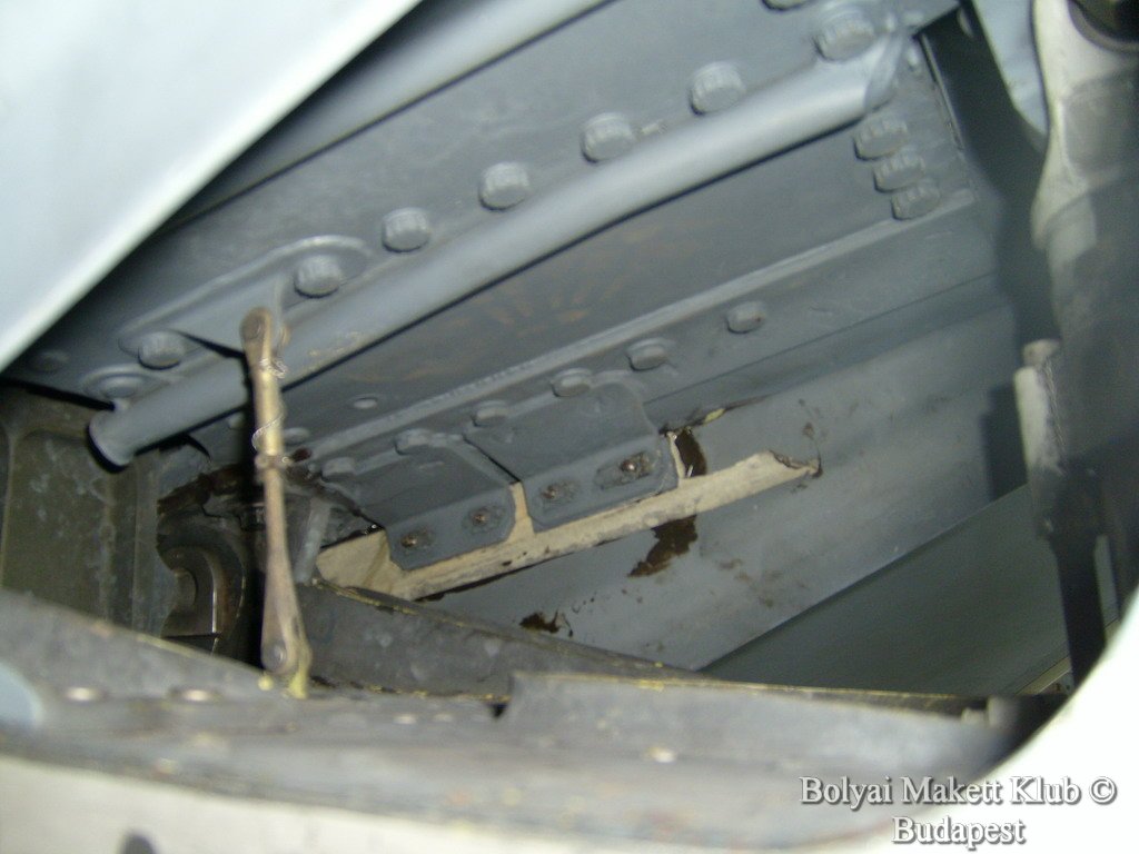 harrier_094.jpg