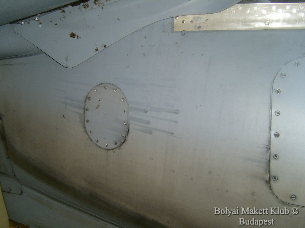 harrier_095.jpg