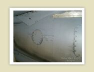 harrier_095.jpg