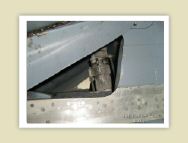 harrier_096.jpg