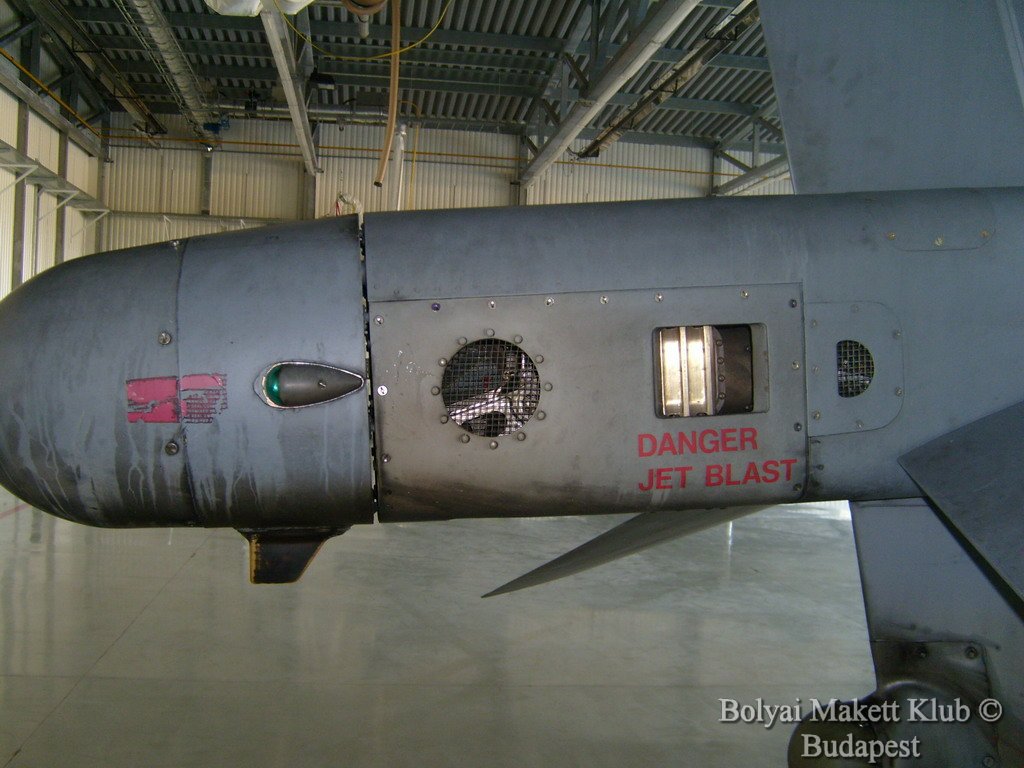 harrier_098.jpg