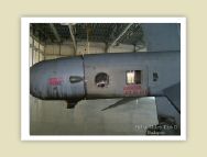 harrier_098.jpg