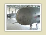 harrier_099.jpg