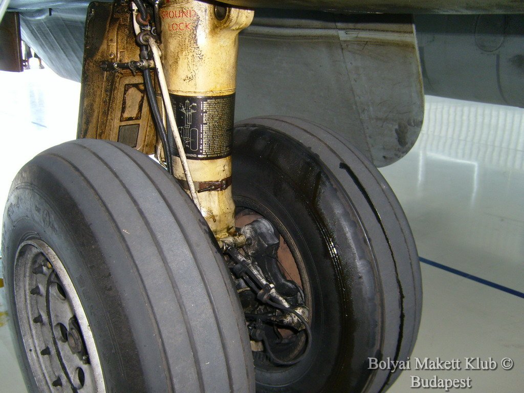 harrier_102.jpg