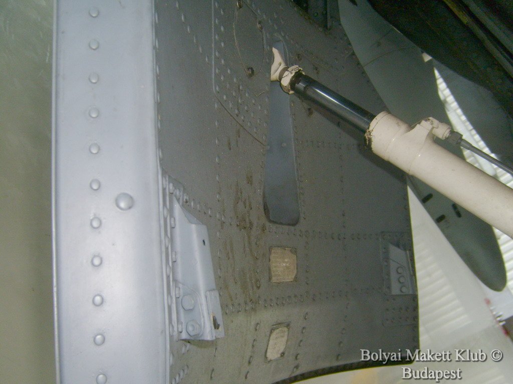 harrier_106.jpg