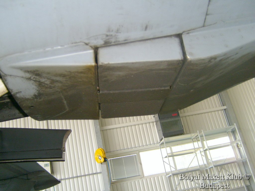 harrier_107.jpg