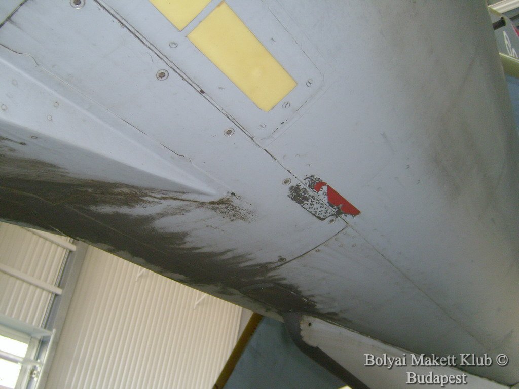 harrier_108.jpg