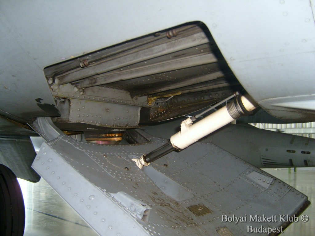 harrier_109.jpg