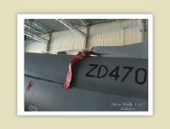 harrier_110.jpg