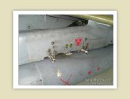 harrier_112.jpg