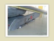 harrier_113.jpg