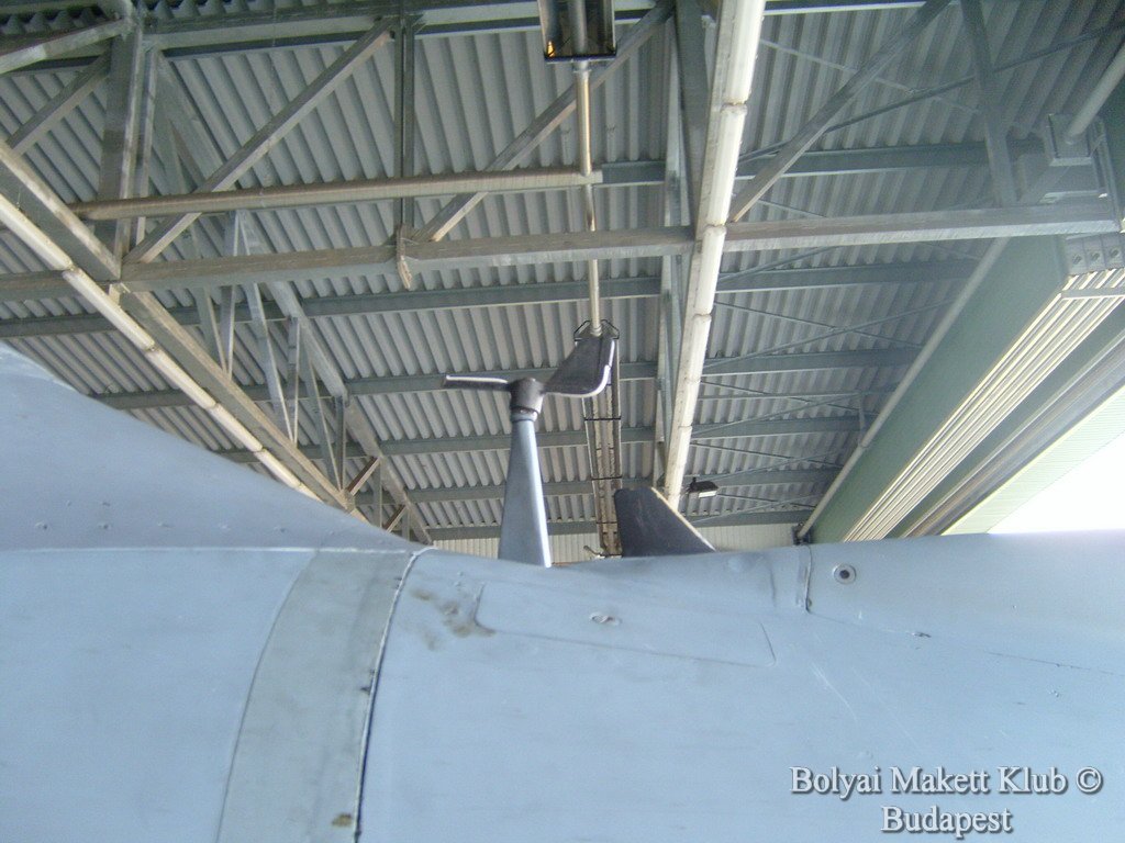 harrier_118.jpg