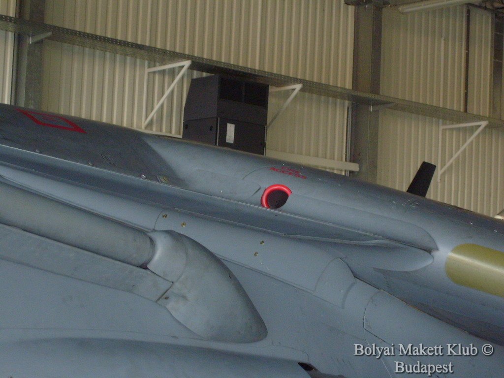 harrier_120.jpg
