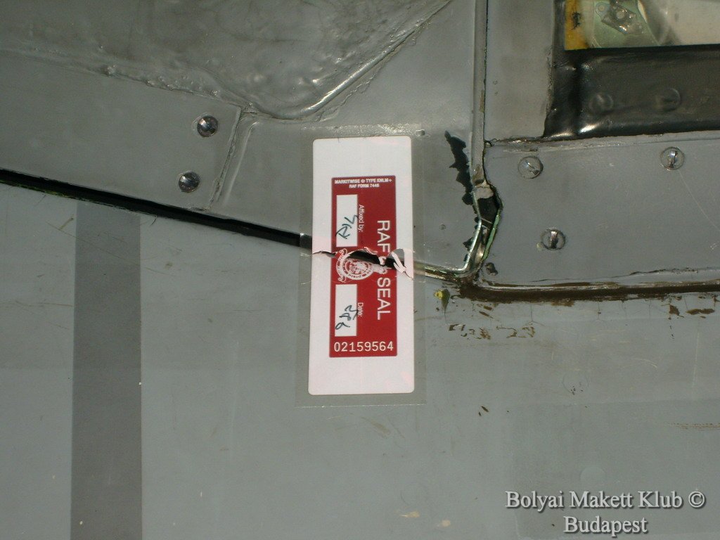 harrier_121.jpg