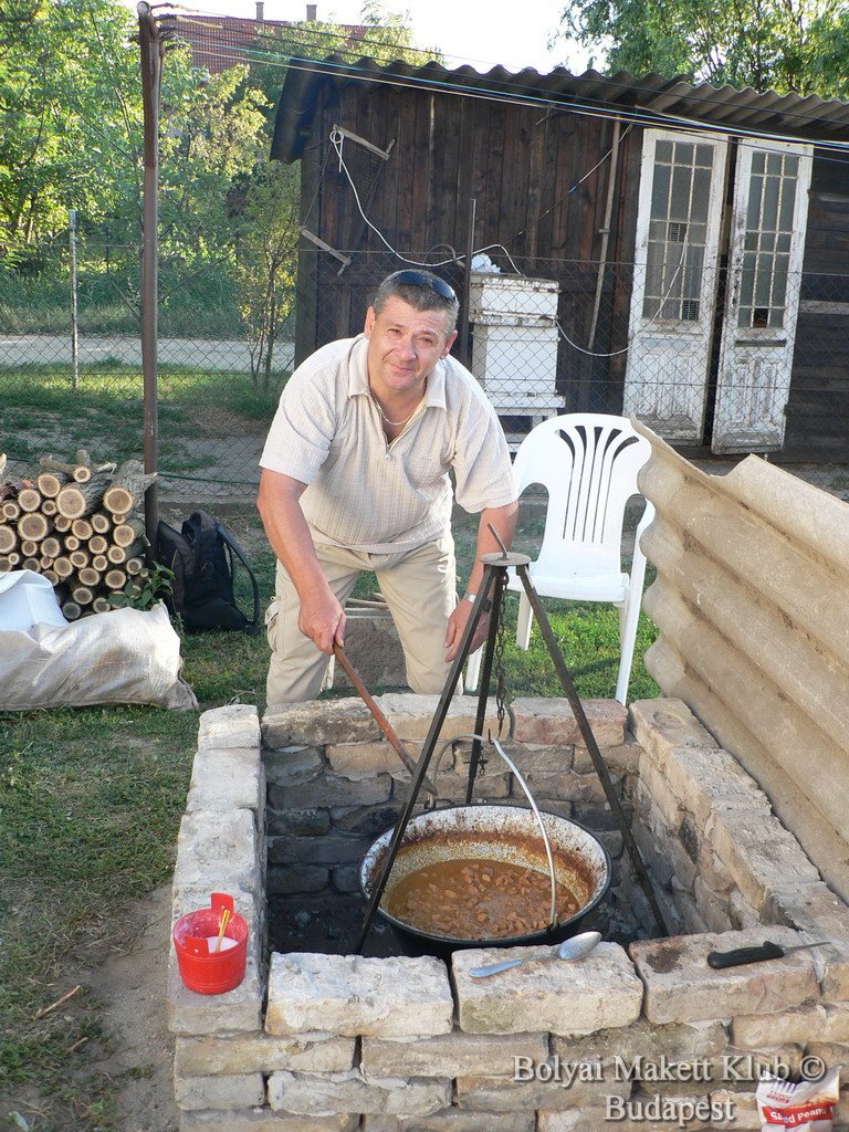 sulysap_020.jpg